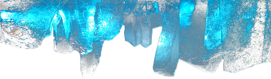 Wir freuen uns bereits auf Ihre Anfrage